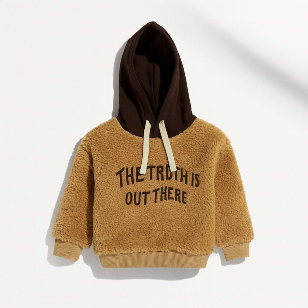 Peluş Hoodie - Slogan Yazı Nakış Detaylo