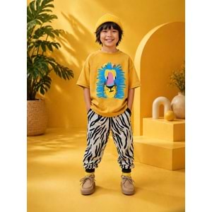 Erkek Çocuk Jungle Safari Mini Set Jogger Alt T-Shirt Takım - ÇOK RENKLİ - 2-3 YAŞ